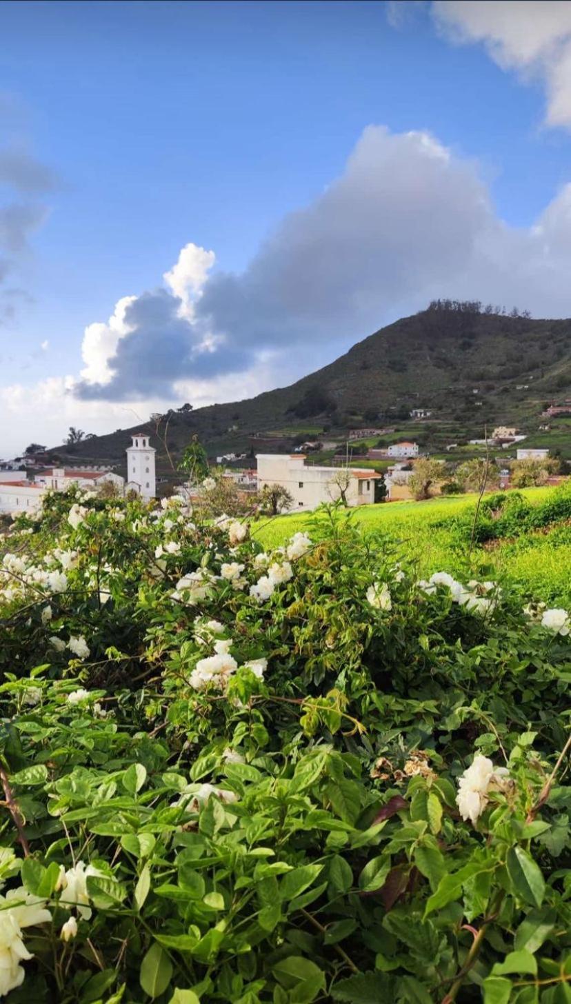 Casa Porfirio Y Cristina Apartment Pedro Alvarez ภายนอก รูปภาพ